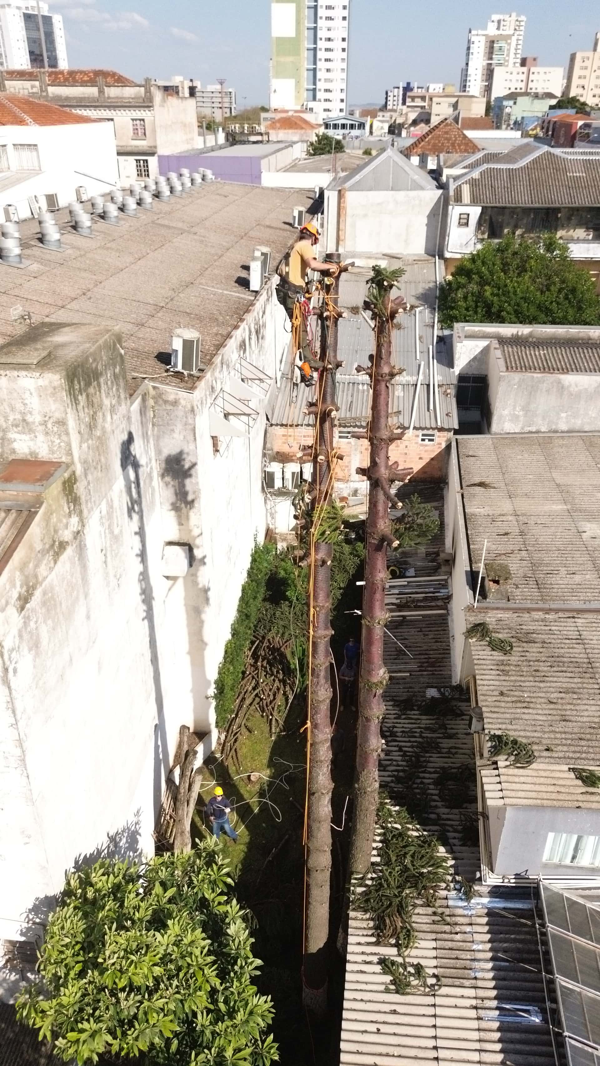 Serviço de Remoção e Limpeza