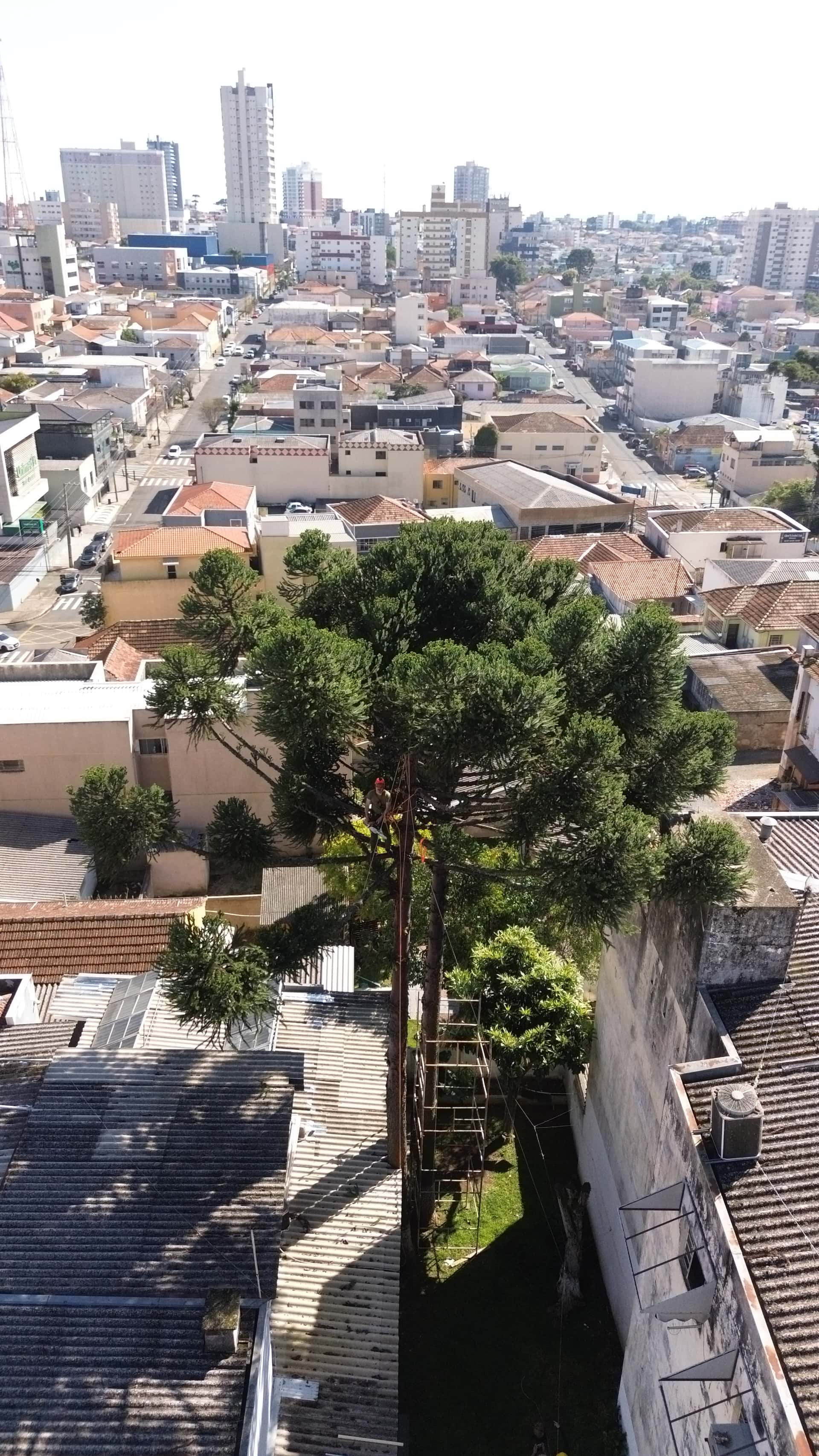 Serviço de Autorização Ambiental